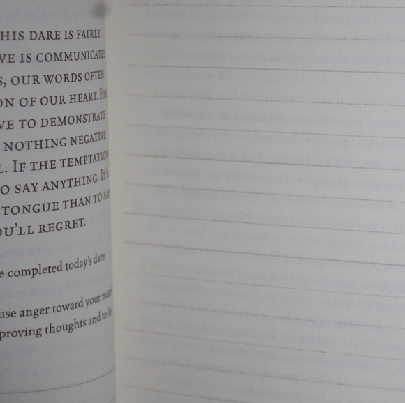 The Love Dare Book by Alex & Stephen Kendrick - Picture 13 of 16